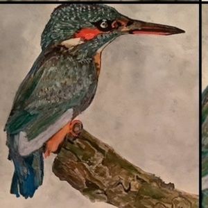 Original Kingfisher Painting